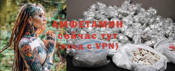 твердый Абаза
