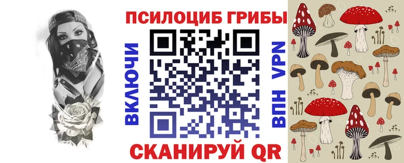 Галлюциногенные грибы Cubensis  цены   Тимашёвск 